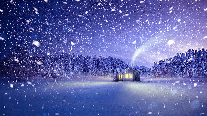 natur, natt, snö, vinter, frysning, träd, snöfall, HD tapet