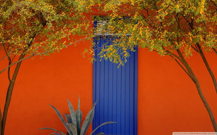 ツーソンAzのバリオ地区の青いドア、オレンジ、ドア、壁、木、青、自然と風景、 HDデスクトップの壁紙