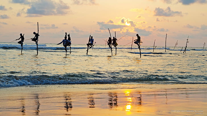 Stilt Fishermen、ダラウェラ、スリランカ、アジア、 HDデスクトップの壁紙