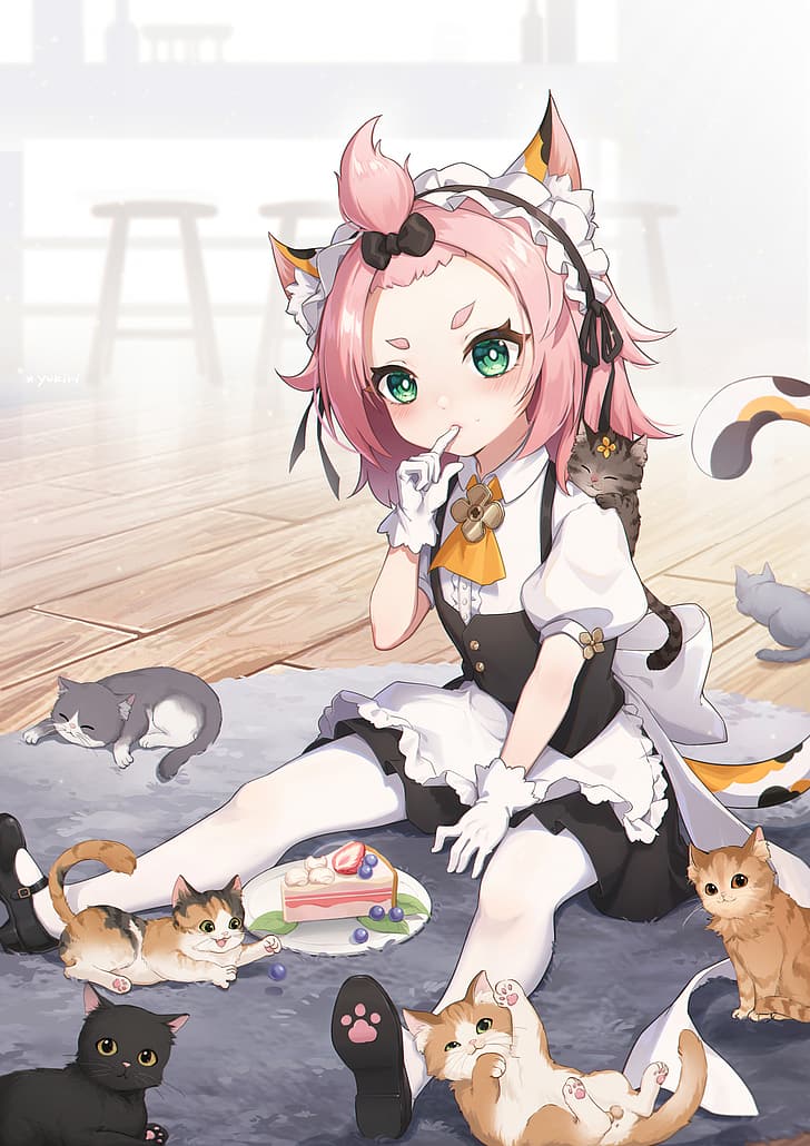 Anime Mädchen, Genshin Impact, Diona (Genshin Impact), Katzenmädchen, Katzen, HD-Hintergrundbild, Handy-Hintergrundbild