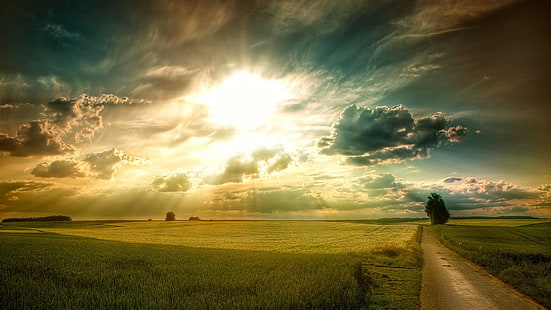sky, nature, field, cloud, horizon, grassland, sunrise, sunlight, morning, plain, prairie, road, rural area, grass, HD wallpaper HD wallpaper
