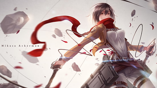 Mikasa of Attack of Titans, Shingeki no Kyojin, anime, Mikasa Ackerman, anime girls, HD wallpaper HD wallpaper