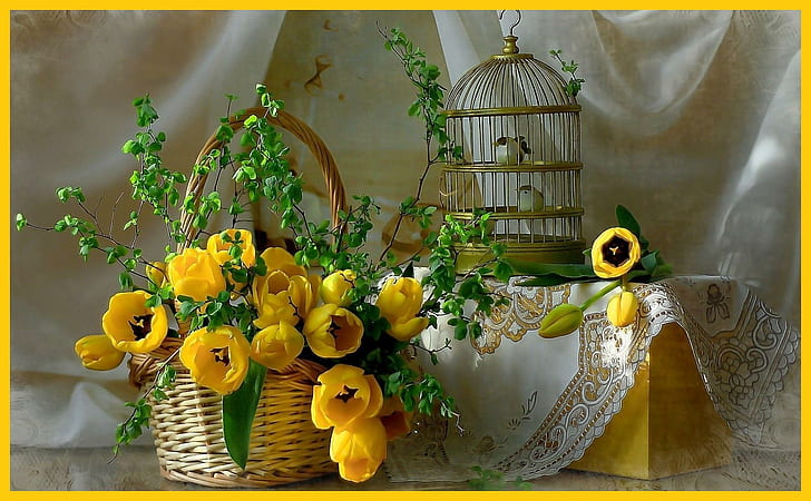 Birdcage, nature, still life, birdcage, flowers, nature and landscapes, HD wallpaper