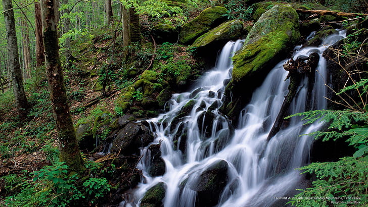 Tremont Area Falls, Great Smoky Mountains, Tennessee, Waterfalls, HD wallpaper