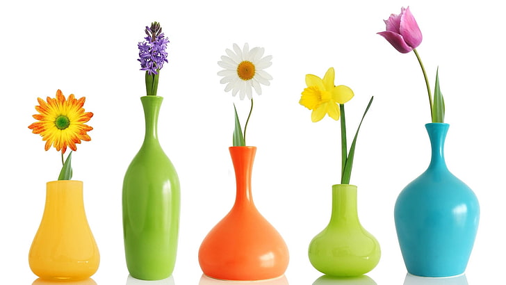 cinq vases en céramique de couleurs assorties, fleurs, vase, forme, différents, Fond d'écran HD