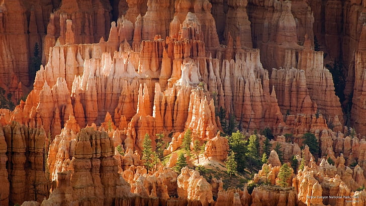Bryce Canyon National Park, Utah, National Parks, HD tapet