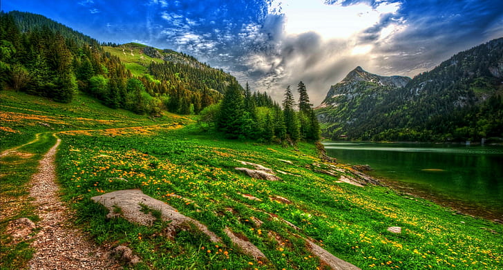 nature landscape lake mountain forest wildflowers spring pine trees path switzerland hdr, HD wallpaper