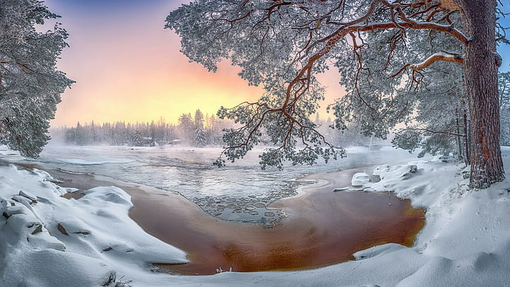 자연, 눈, 겨울, 나무, 풍경, 추위, 추위, 눈, 겨울, 나무, 풍경, HD 배경 화면