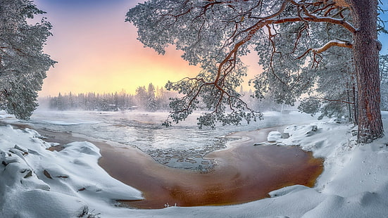 природа, снег, зима, деревья, пейзаж, холод, холод, снег, зима, деревья, пейзаж, HD обои HD wallpaper