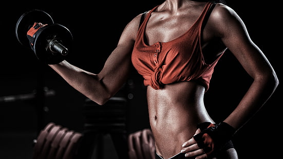 Fitness, Muskelaufbau, Kurzhantel, weiblicher Körper, HD-Hintergrundbild HD wallpaper