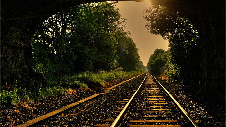 ferrovia de aço cinza, floresta, árvores, ferrovia, HD papel de parede