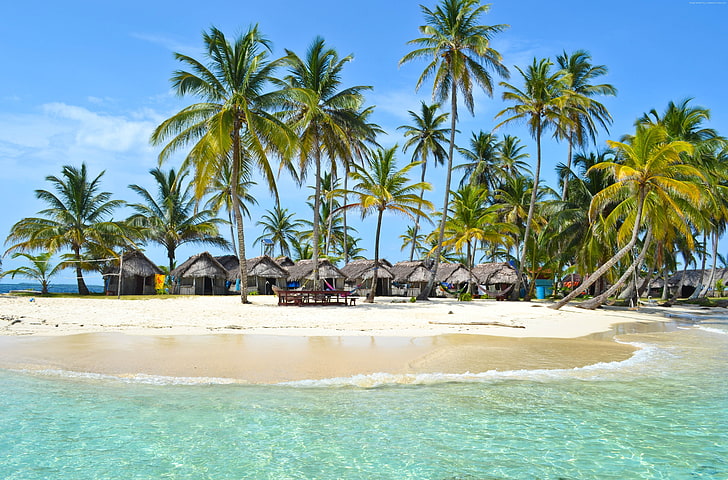 4k, palmeiras, oceano índico, maldivas, céu, melhores praias do mundo, 5k, costa, HD papel de parede