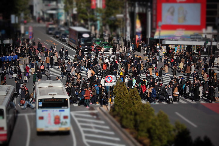 city, community, crossing, crosswalk, crowd, intersection, japan, macro, pedestrian, pedestrian crossing, people, rush, tokyo, traffic, urban, HD wallpaper