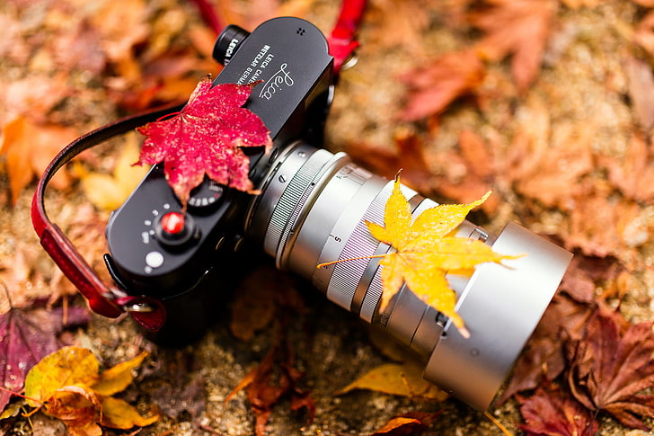 Camera, autumn colors, Leica, HD wallpaper