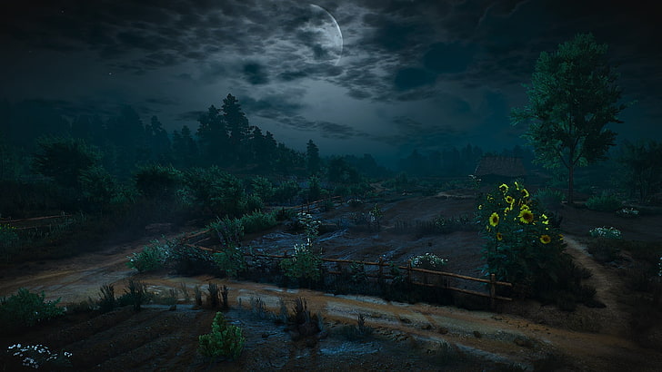 gece hava fotoğrafçılığı, video oyunları, Witcher 3: vahşi avı, yeşil yapraklı ağaç yakınındaki bahçede ayçiçeği bitki, HD masaüstü duvar kağıdı