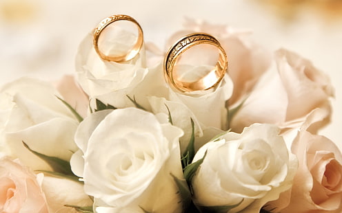 Обручальные кольца, розы, белые цветочные бутоны, золотые обручальные кольца;белые розы, помолвка, кольца, розы, белые, цветы, бутоны, HD обои HD wallpaper