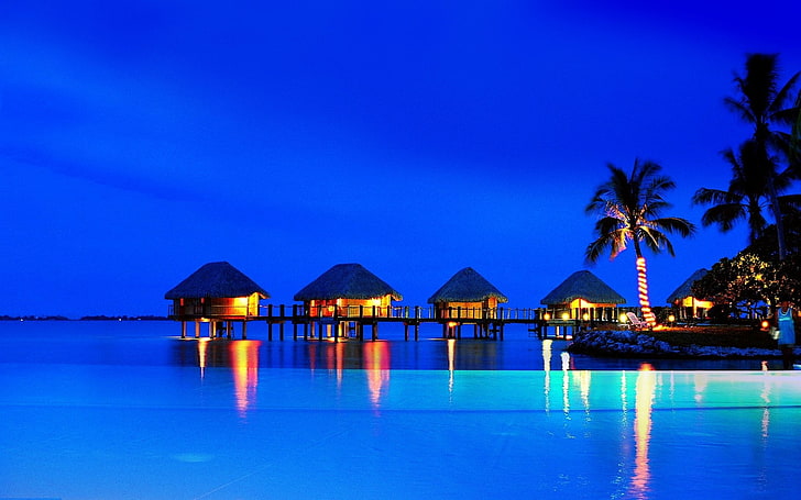 cinco cabañas de playa marrón, fotografía, tropical, azul, horizonte, palmera, crepúsculo, Fondo de pantalla HD