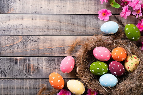 Празник, Великден, великденско яйце, гнездо, HD тапет HD wallpaper