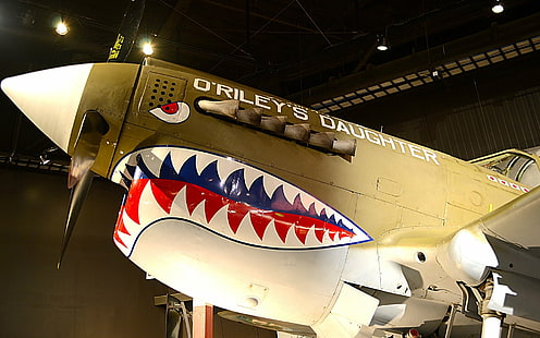Militära flygplan, Curtiss P-40 Warhawk, flygplan, HD tapet HD wallpaper
