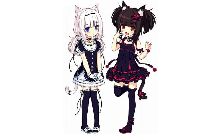 Neko Para, cat girl, anime girls, animal ears, loli, anime, HD wallpaper