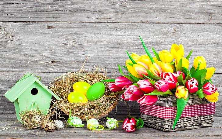 Pasqua, primavera, fiori, uova, tulipani colorati, rossi e gialli, Pasqua, primavera, fiori, uova, colorati, rosso, giallo, tulipani, Sfondo HD