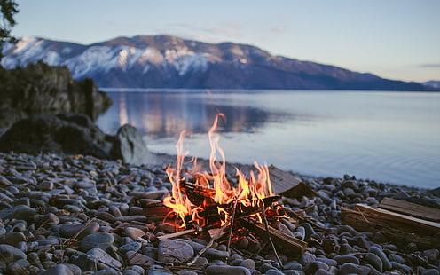 bonfire, nature, lake, fire, HD wallpaper HD wallpaper