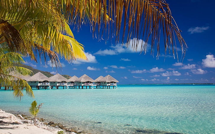 nature, plage, Bora Bora, été, paysage, mer, tropical, bungalow, resort, palmiers, Polynésie française, île, Fond d'écran HD