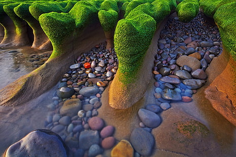 кафяви камъчета, море, бряг, камъни. водорасли, HD тапет HD wallpaper