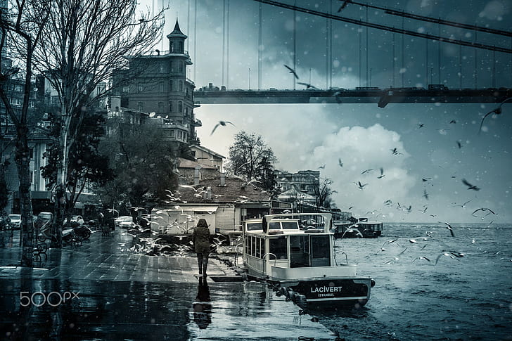 photography, Istanbul, Turkey, Bosphorus, bridge, sea, birds, seagulls, boat, rain, HD wallpaper