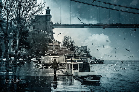 fotografia, Istanbul, Turchia, Bosforo, ponte, mare, uccelli, gabbiani, barca, pioggia, Sfondo HD HD wallpaper