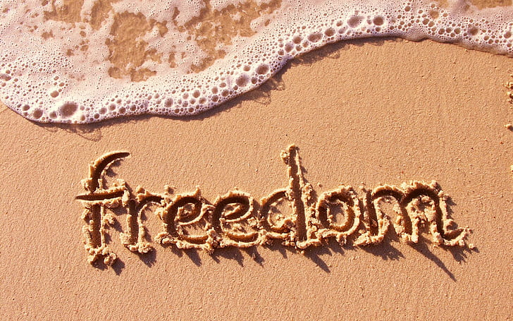Freedom girl HD wallpapers free download | Wallpaperbetter
