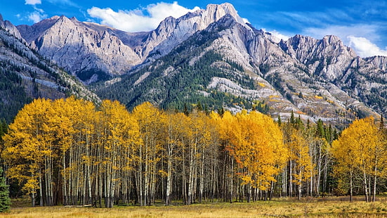 Espe, Colorado, Vereinigte Staaten, USA, Bäume, Wald, Berge, Herbst, Himmel, HD-Hintergrundbild HD wallpaper