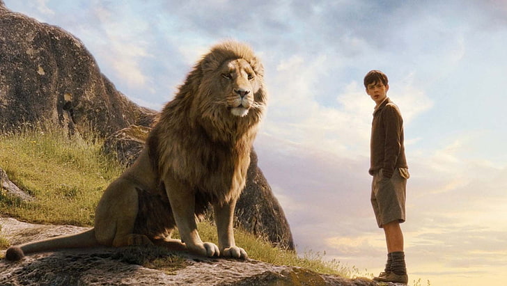 แมวขนสีน้ำตาลและสีขาวภาพยนตร์เรื่อง The Chronicles of Narnia, วอลล์เปเปอร์ HD