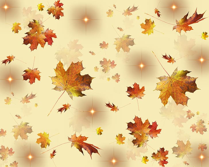 golden, autumn, leaves, stars, season, fall, HD wallpaper