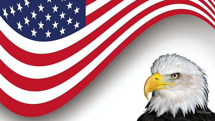 Stars Stripes, patriotisme, amerika serikat, elang, patriotik, hari kemerdekaan, amerika, dom, hari peringatan, veteran, Wallpaper HD