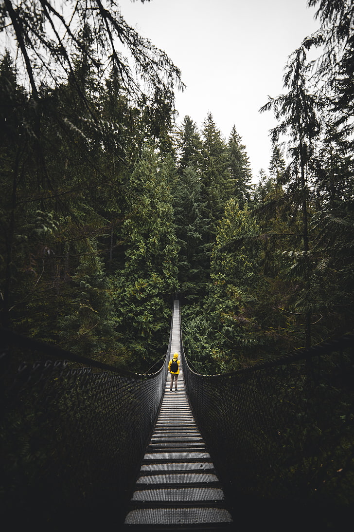 ponte sospeso in legno marrone, ponte, uomo, solitudine, vancouver, canada, Sfondo HD, sfondo telefono