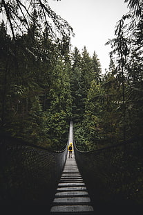 brown wooden hanging bridge, bridge, man, loneliness, vancouver, canada, HD wallpaper HD wallpaper