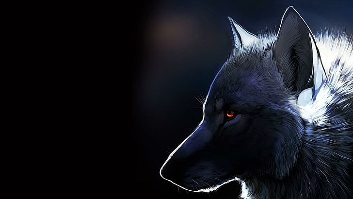 Wolf, digitale Kunst, Fantasie, Kunstwerk, HD-Hintergrundbild