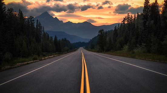 road, asphalt, mountains, trees, Canada, Alberta, HD wallpaper HD wallpaper