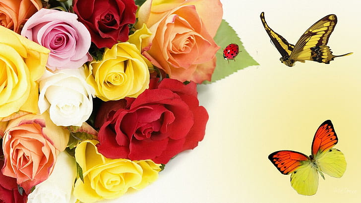 Roses Roses Butterfly Butterfly, firefox persona, roses, butterfly, colors, spring, romance, colored, butterflies, summer, 3d and abstra, HD wallpaper