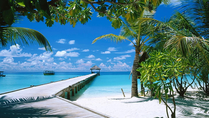 sea, holiday, summer, summertime, maldive islands, island, lagoon, indian ocean, water, sky, tropics, resort, leisure, vacation, maldives, palm tree, huluwalu, pier, caribbean, HD wallpaper