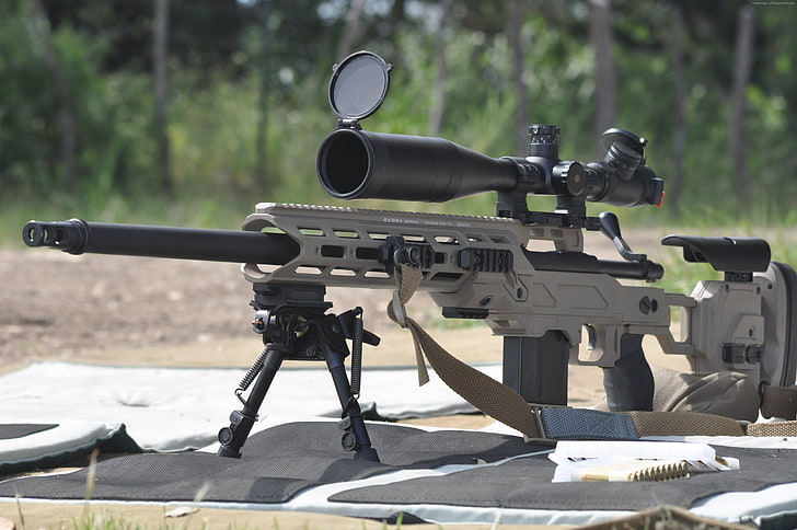 SPS, Remington, .308, 700, fusil de sniper, WIN, Varmint, oscilloscope, Fond d'écran HD