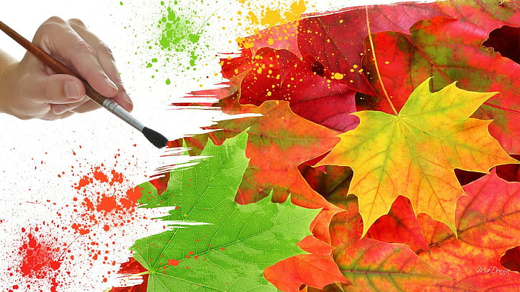 Painting Autumn Colors, hand, paint, orange, splatter, fall, maple, paintbrush, leaves, whimsical, green, colors, gold, HD wallpaper