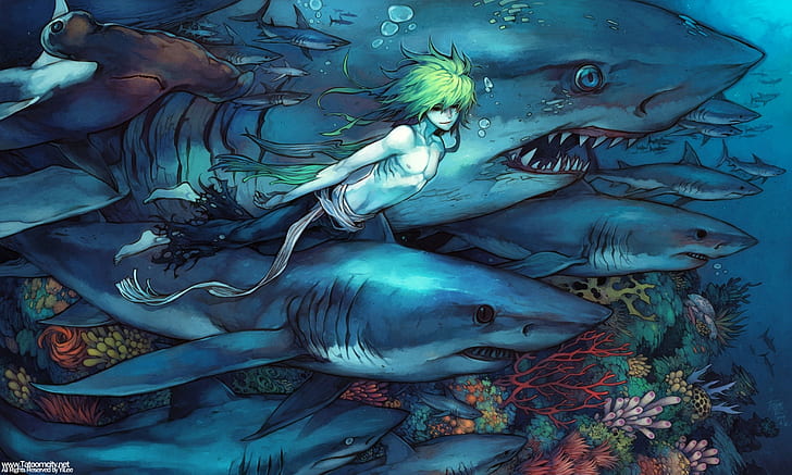 laut, hiu, bawah air, Wallpaper HD