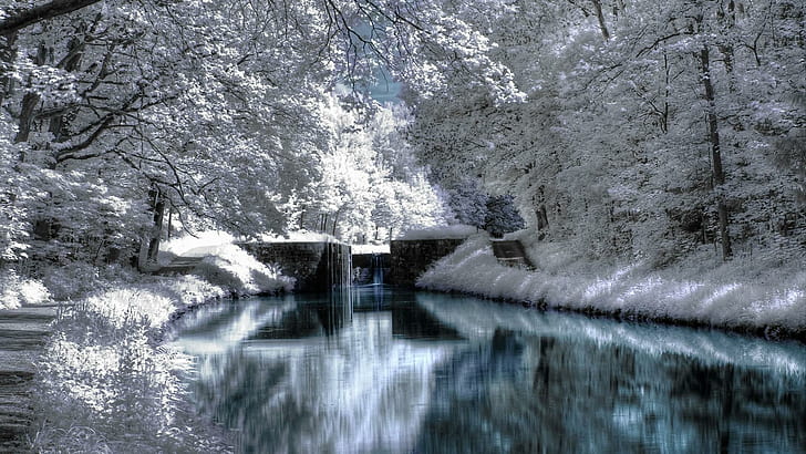 Зимний пейзаж, природа, белый, лес, деревья, вода, снег, синий, река, зима, 3d и аннотация, HD обои