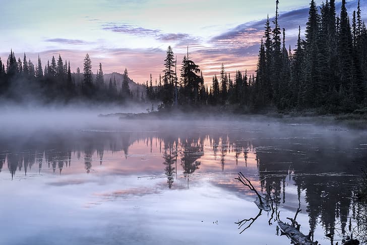 trees, landscape, nature, fog, lake, morning, USA, Olympic, National Park, HD wallpaper