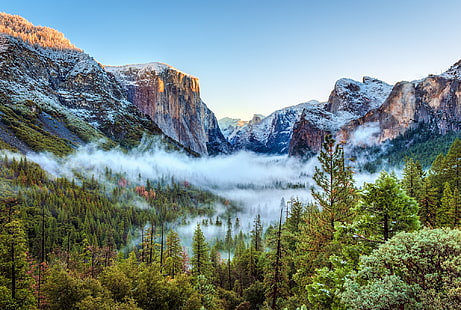 karla kaplı dağ ağaçlarıyla çevrili, doğa, manzara, dağlar, Yosemite Ulusal Parkı, ABD, ağaçlar, orman, güneş ışığı, kar, sis, gün batımı, HD masaüstü duvar kağıdı HD wallpaper