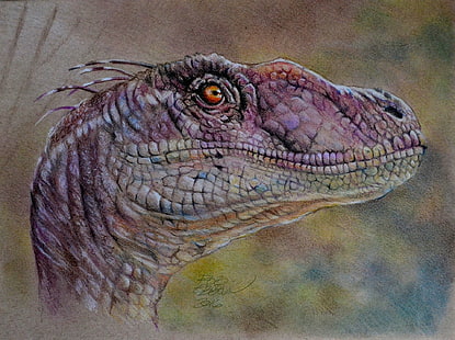 Tier, Dinosaurier, Velociraptor, HD-Hintergrundbild HD wallpaper