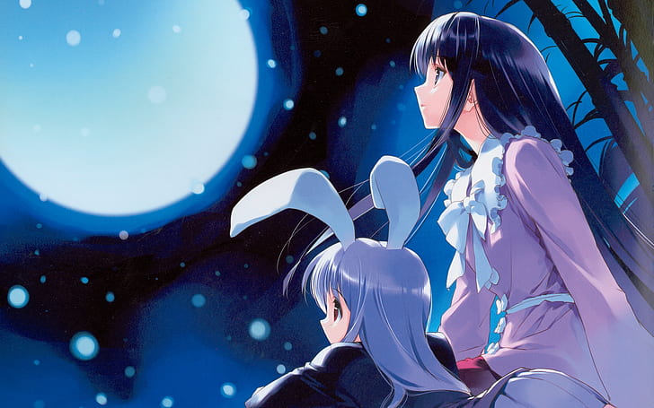 Anime, Touhou, Kaguya Houraisan, Moon, Reisen Udongein Inaba, HD wallpaper