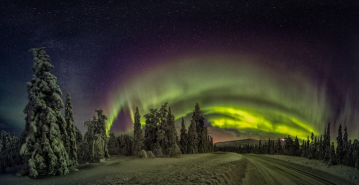 зеленые деревья, природа, пейзаж, Финляндия, полярные сияния, зима, лес, снег, дорога, огни, звездная ночь, холод, деревья, HD обои